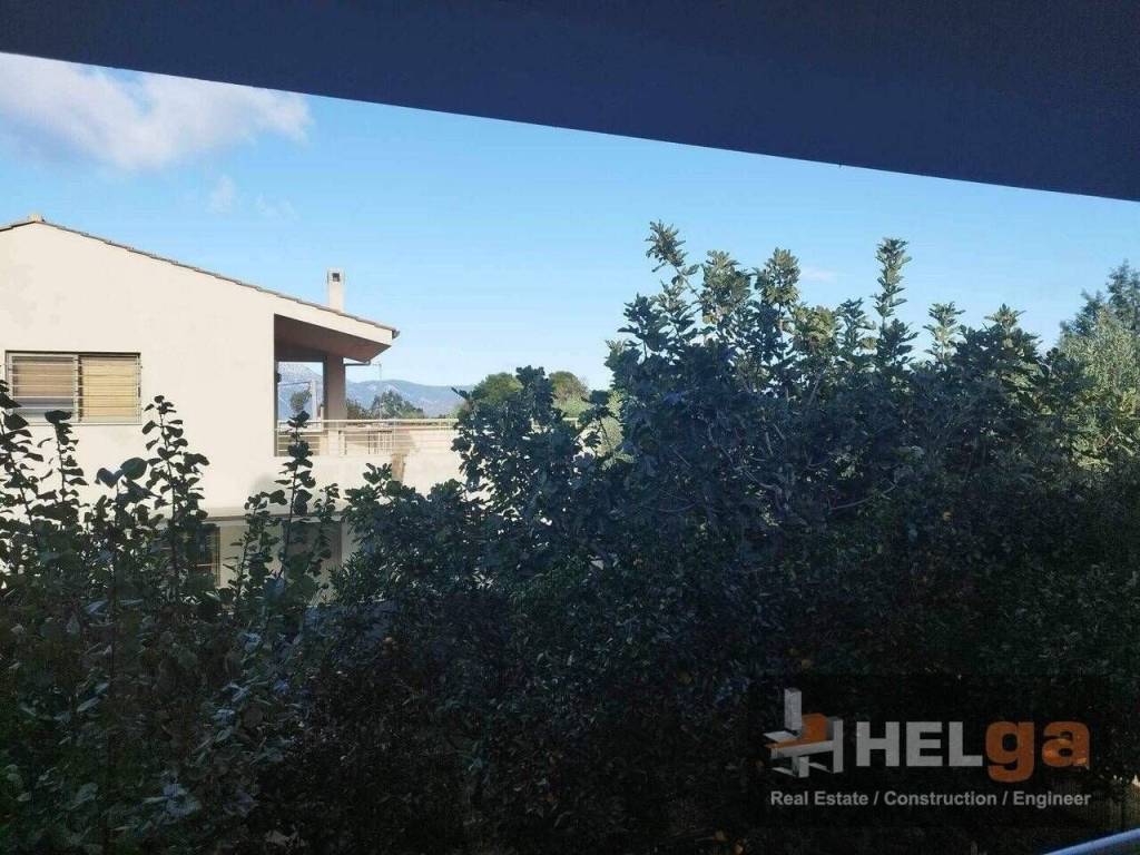 Εξωτερική άποψη