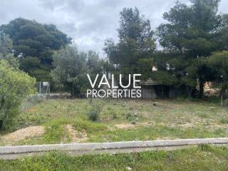 Εξωτερικοι χώροι