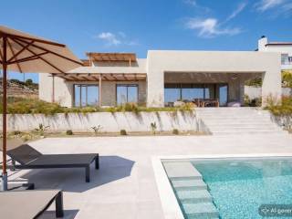 [AI-generated photo]