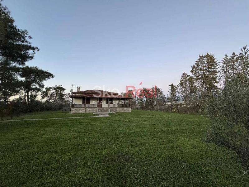 Άποψη χώρου