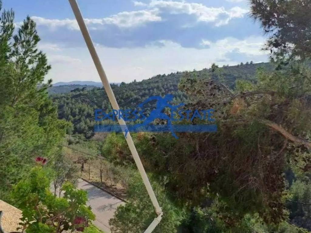 Εξωτερικοι χώροι