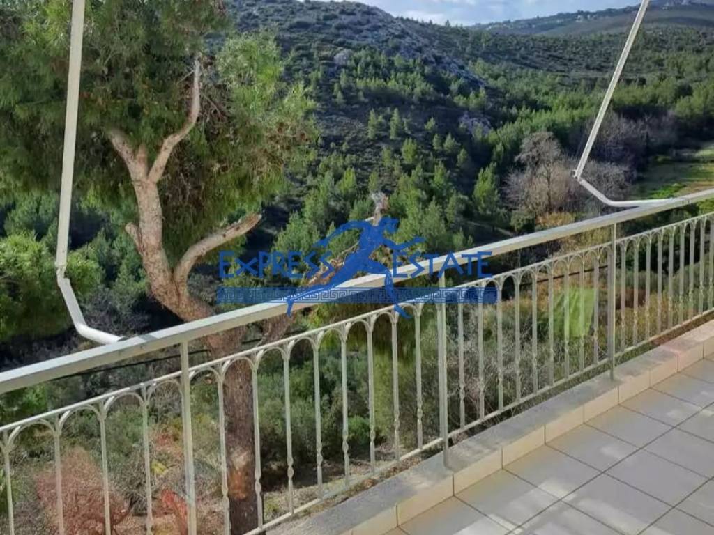 Εξωτερικοι χώροι