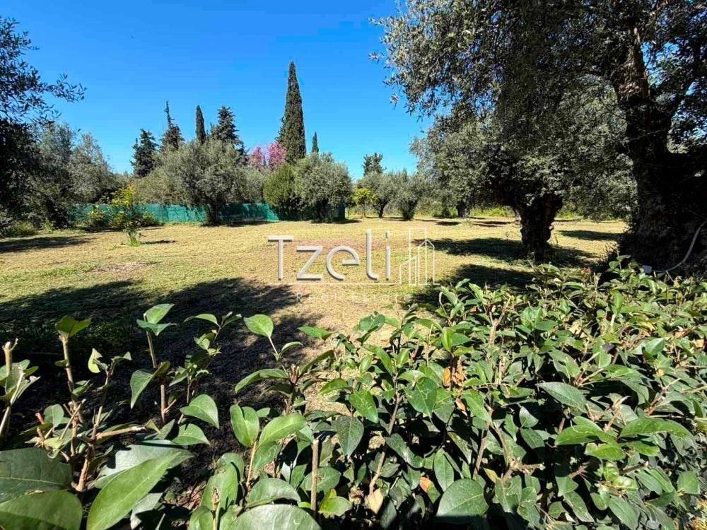 Εξωτερική άποψη χώρου