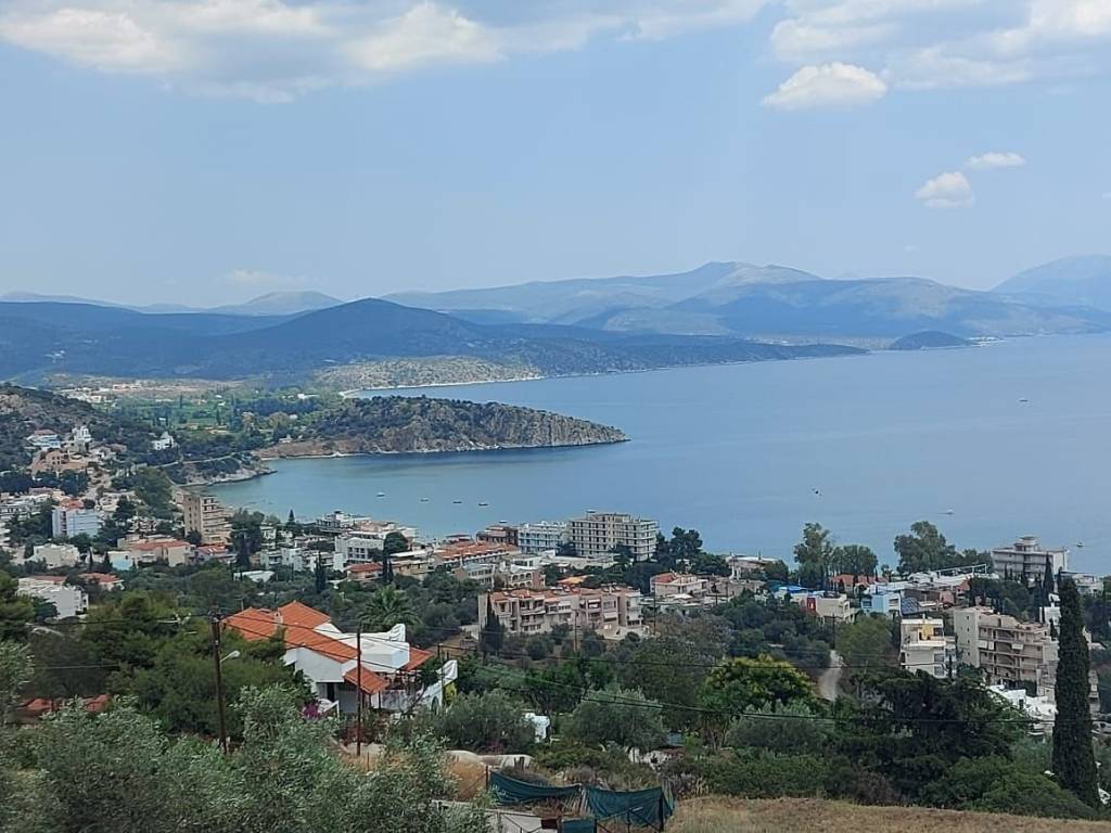 Luxurious construction