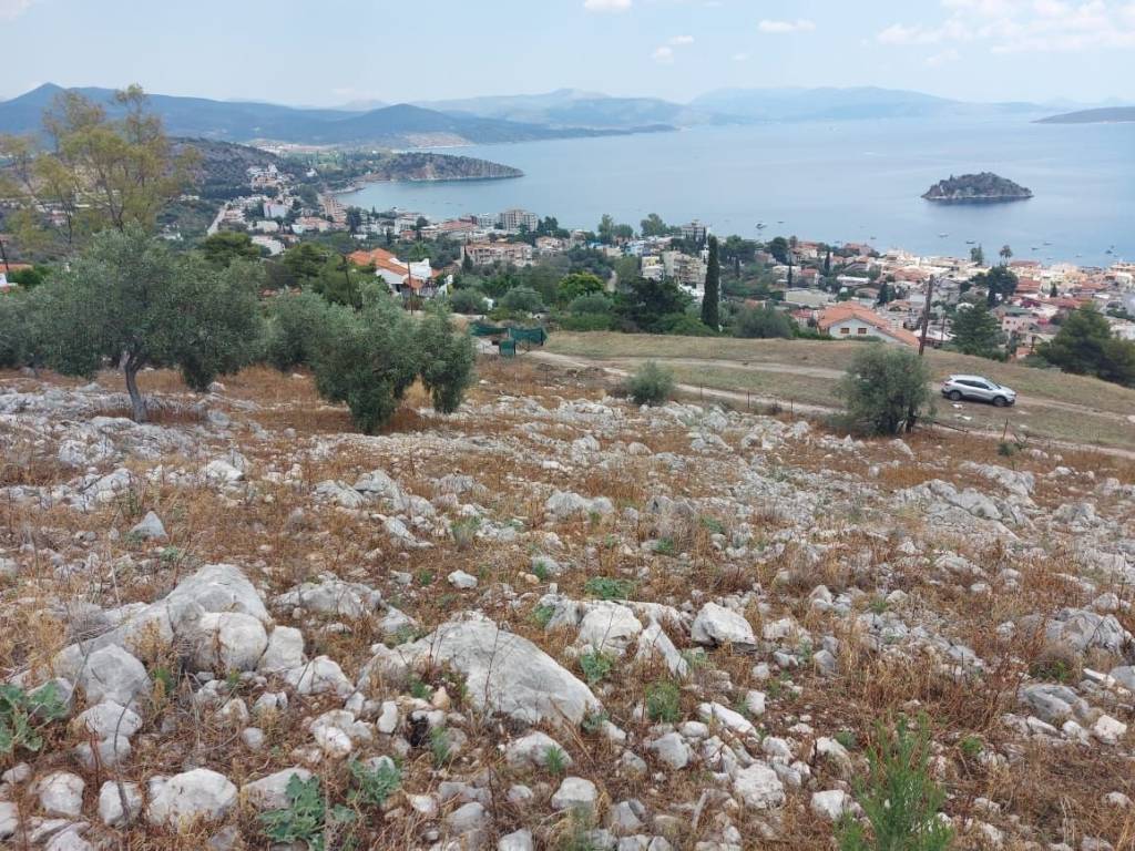 Luxurious construction