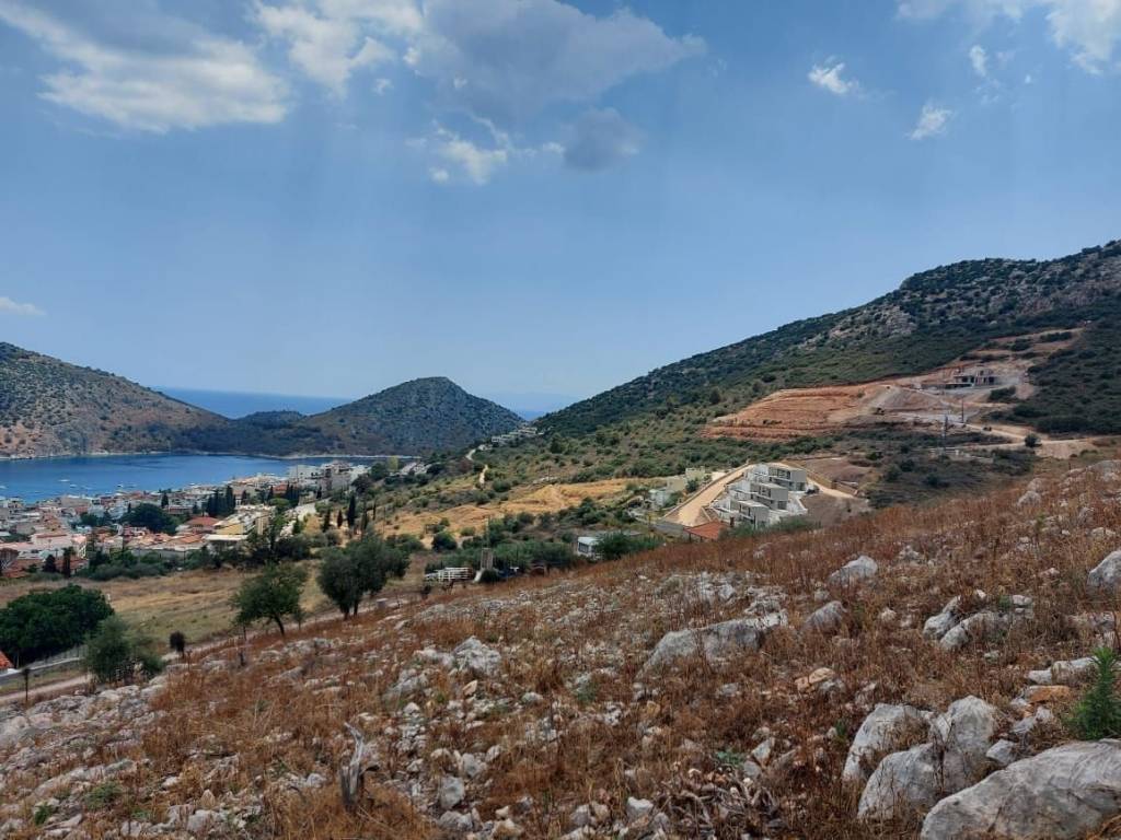 Luxurious construction