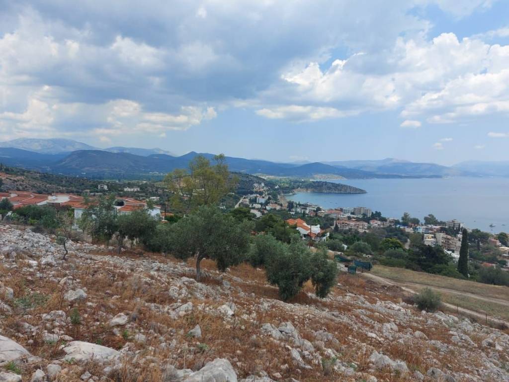 Luxurious construction