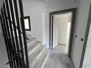 Apartment - Grekodom 51849|1058257