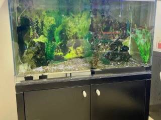 Forumland Real Estate, Γραφειακός χώρος 55τ.μ.