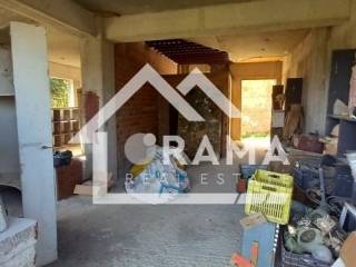 Ύπαρξη ανθρώπου