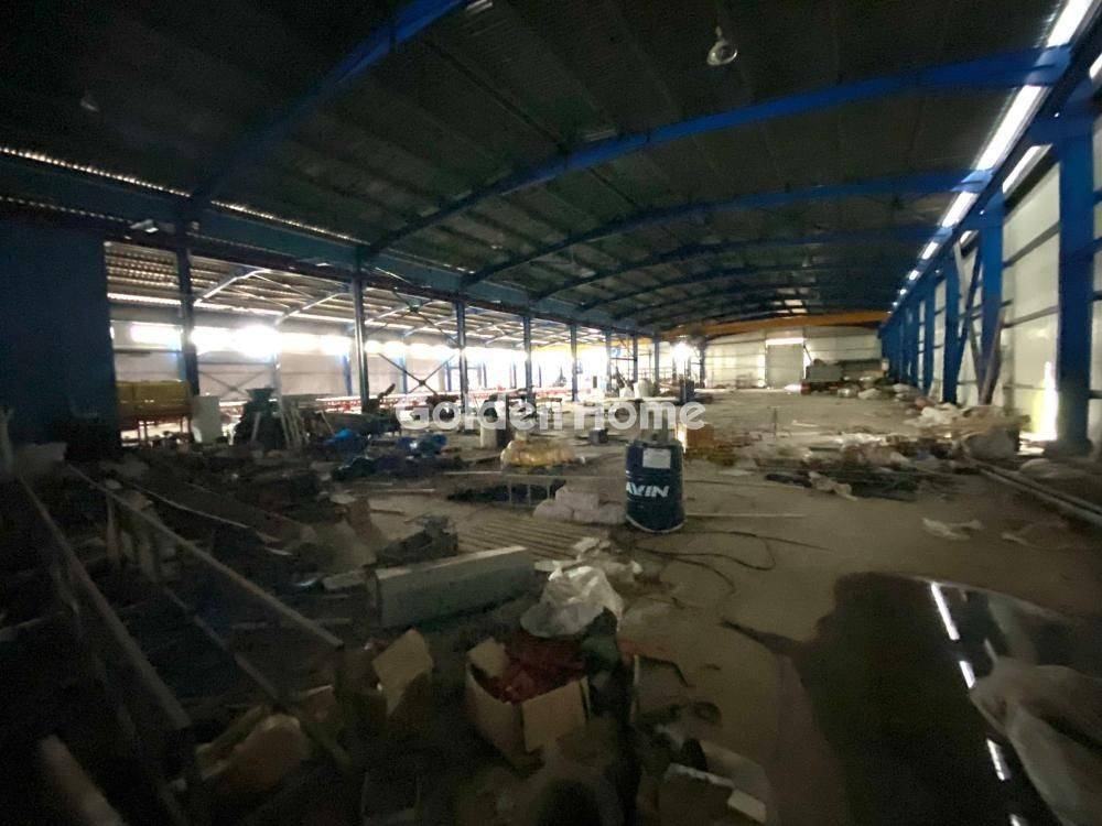 Ανελκυστήρας