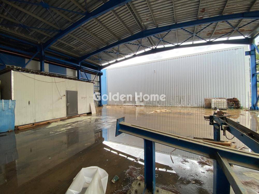 Κυρίως Χώρος