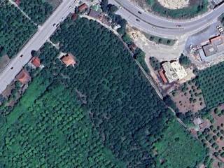 Αγροτεμάχιο Προς Πώληση στην Άρτα