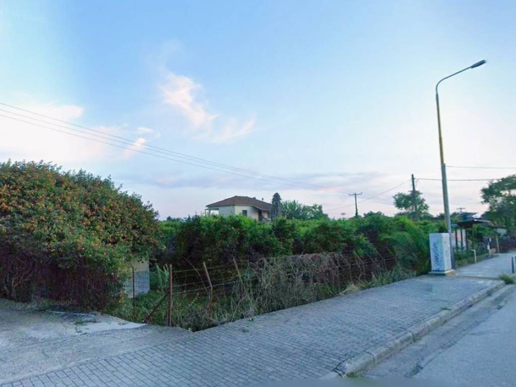 Αγροτεμάχιο Προς Πώληση στην Άρτα