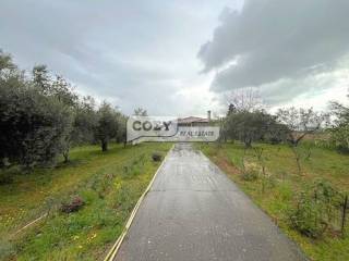 Εξωτερική όψη 