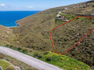 [AI-generated photo]