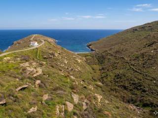 [AI-generated photo]