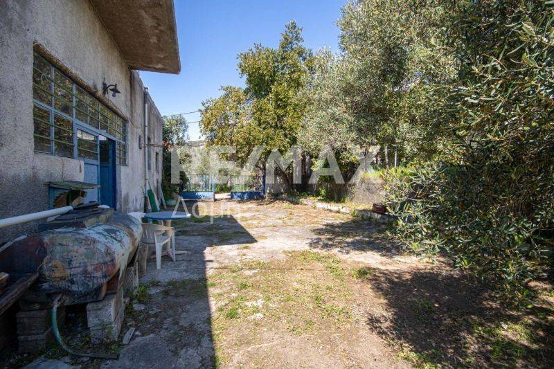 Εξωτερικός χώρος