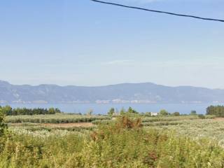 Οικόπεδο Προς Πώληση στις Δαφνούσες