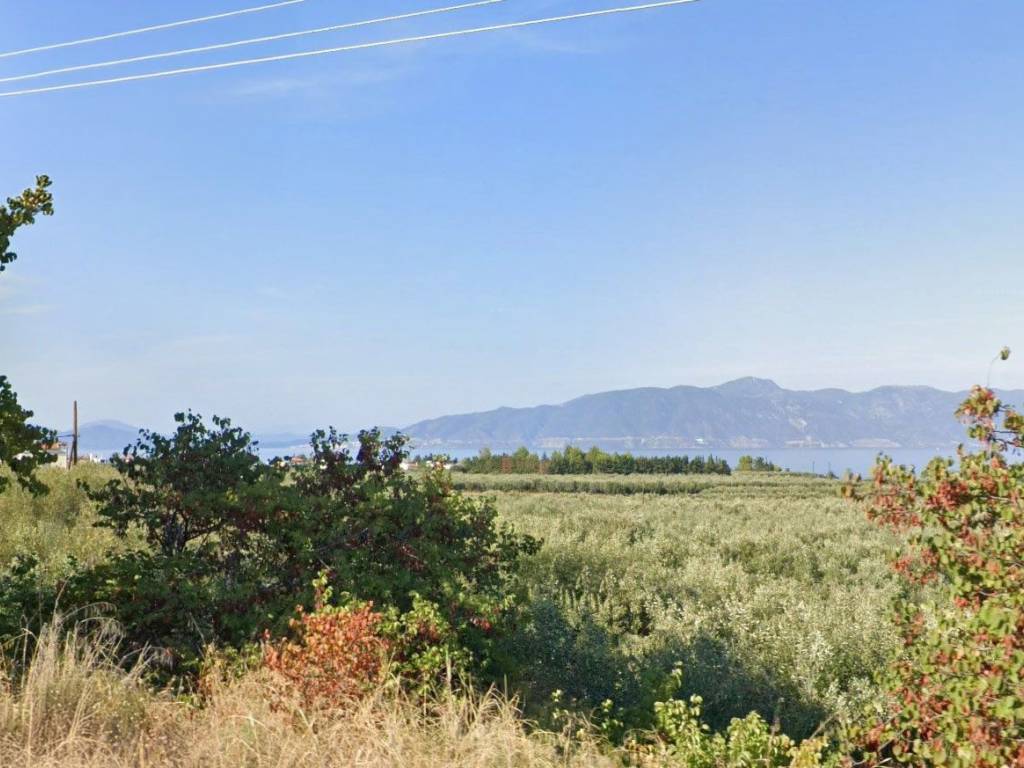 Οικόπεδο Προς Πώληση στις Δαφνούσες