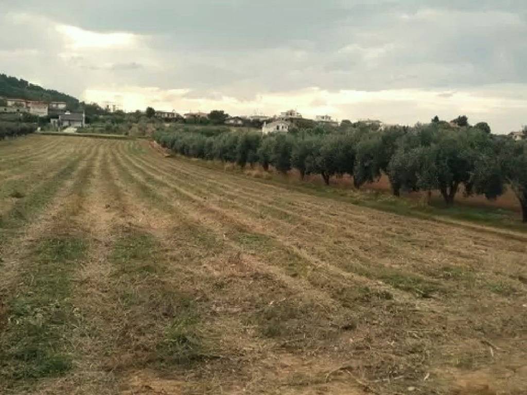 Οικόπεδο Προς Πώληση στις Δαφνούσες