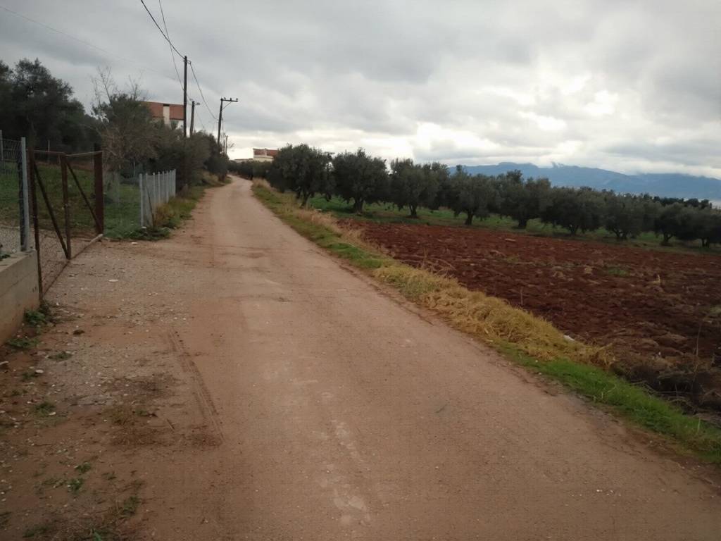 Οικόπεδο Προς Πώληση στις Δαφνούσες