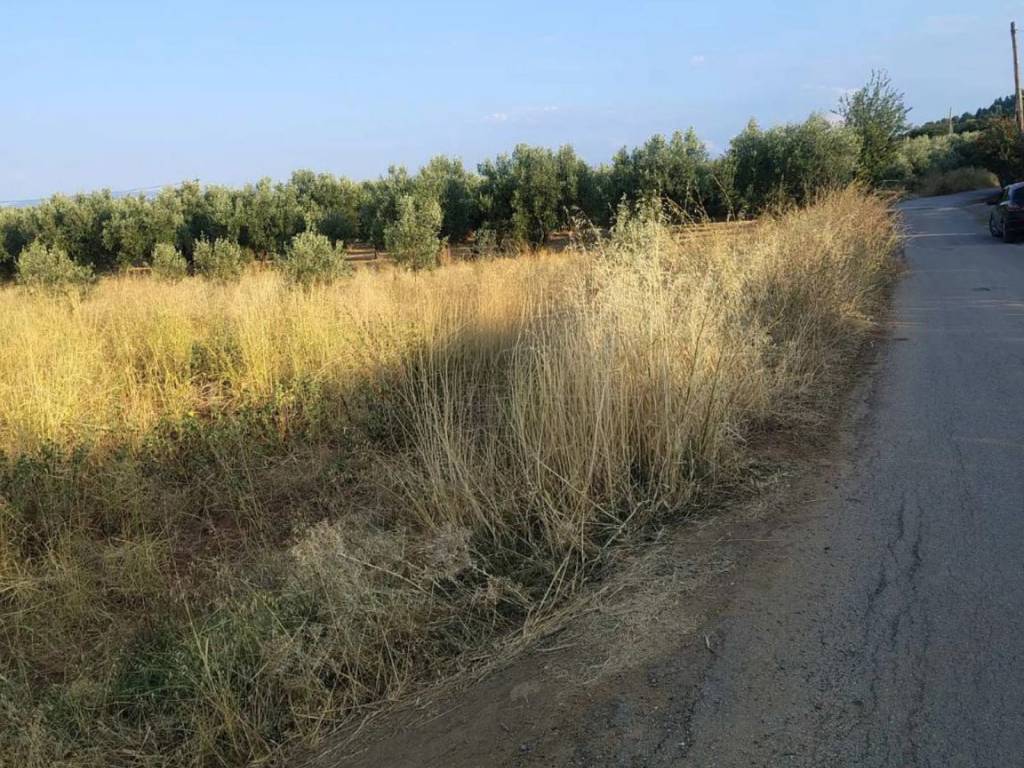 Οικόπεδο Προς Πώληση στις Δαφνούσες