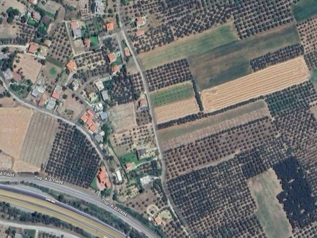 Οικόπεδο Προς Πώληση στις Δαφνούσες