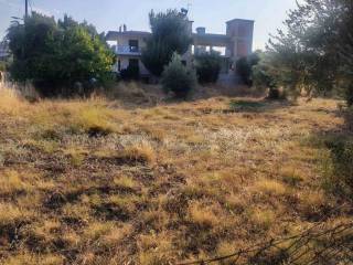 Οικόπεδο Προς Πώληση στις Δαφνούσες