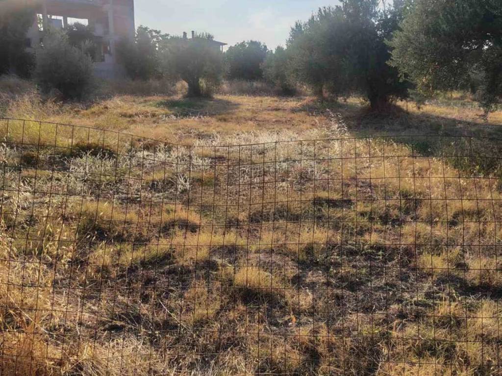 Οικόπεδο Προς Πώληση στις Δαφνούσες