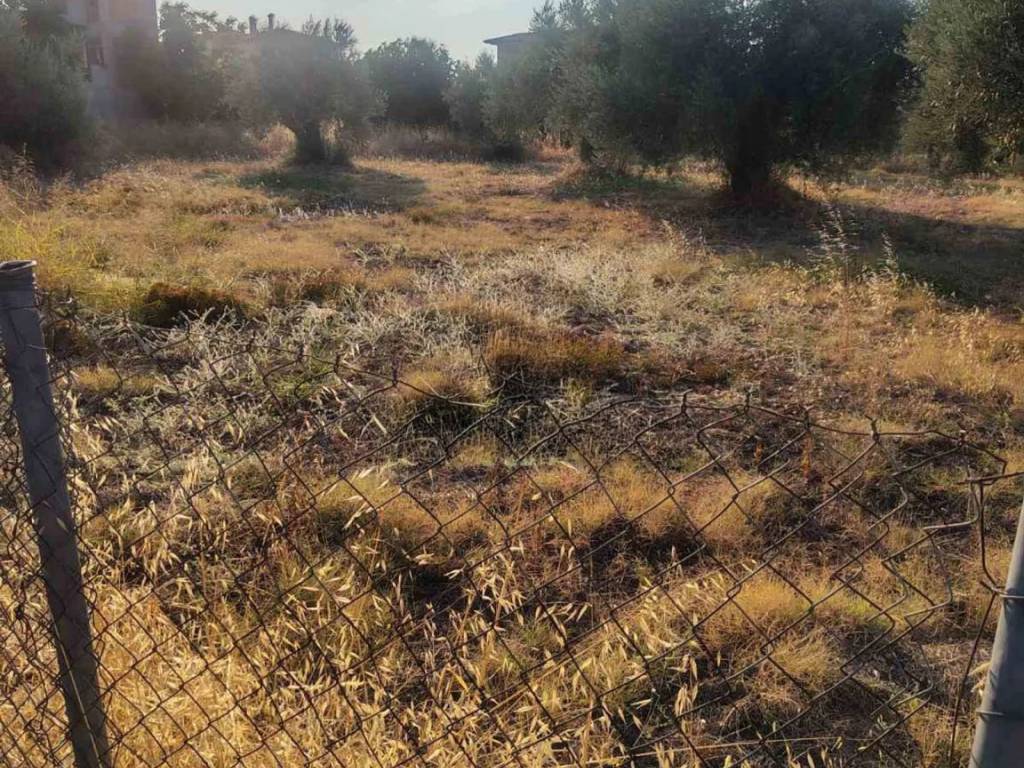 Οικόπεδο Προς Πώληση στις Δαφνούσες