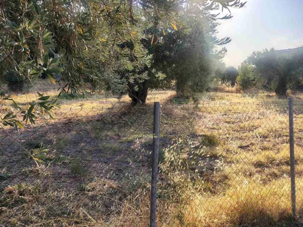 Οικόπεδο Προς Πώληση στις Δαφνούσες