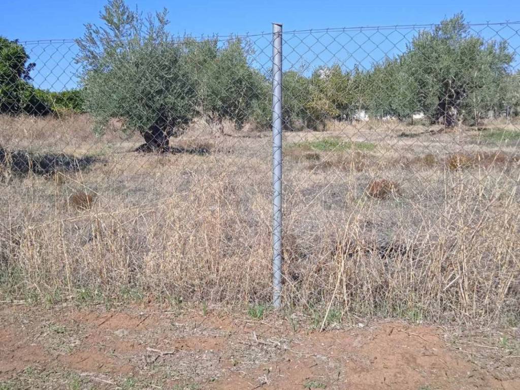 Οικόπεδο Προς Πώληση στις Δαφνούσες