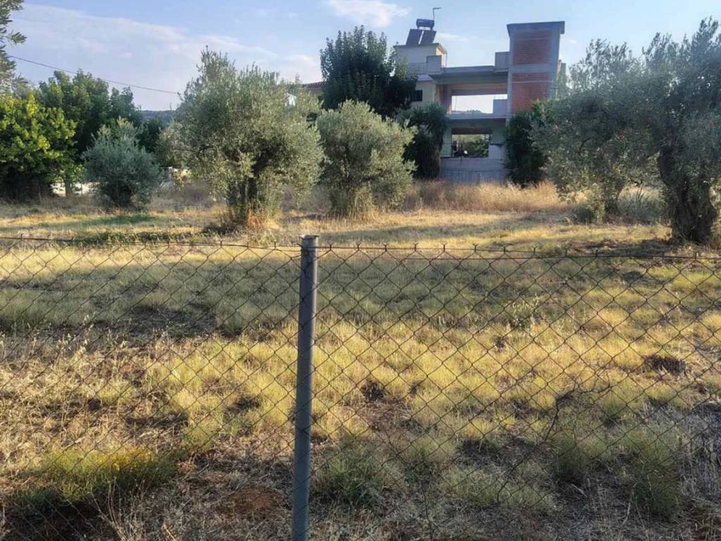 Οικόπεδο Προς Πώληση στις Δαφνούσες