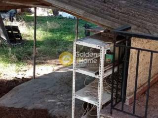 Ανελκυστήρας