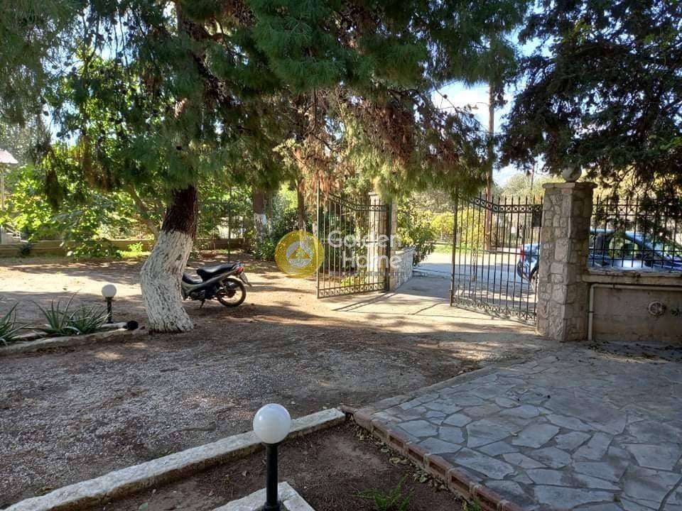 Ανελκυστήρας