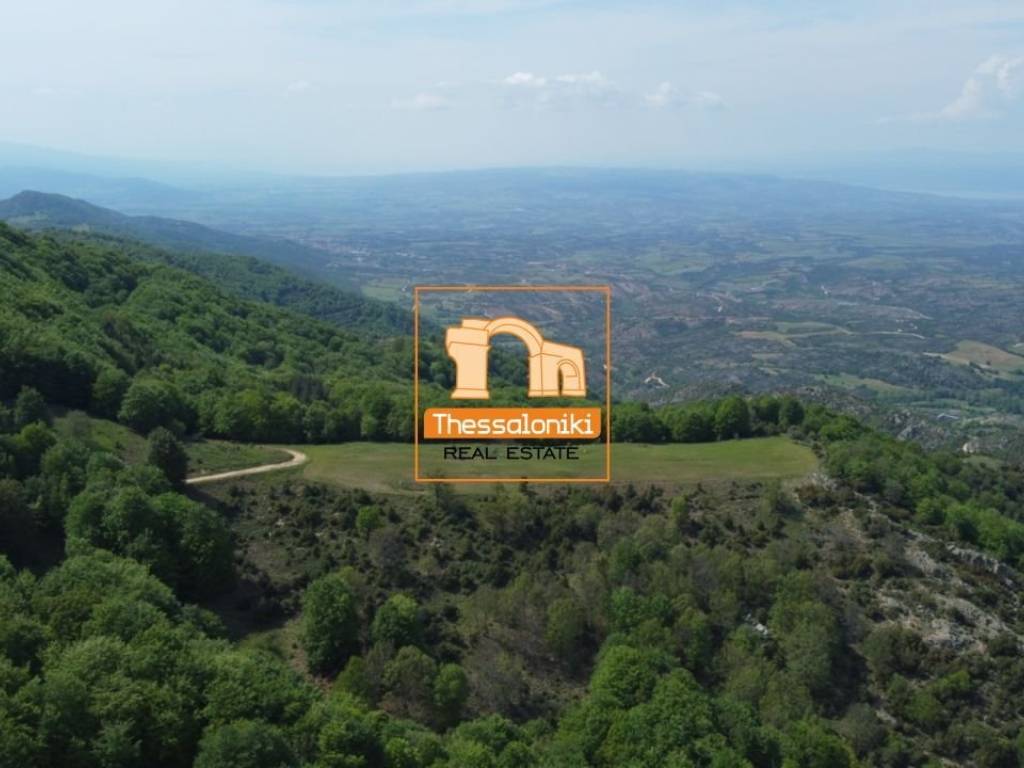 Ταξιάρχης, Αγροτεμάχιο, 16.360 τ.μ.