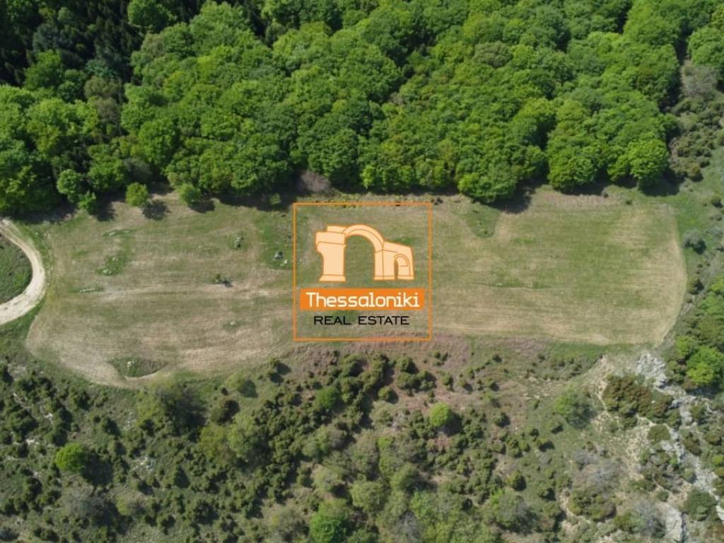 Ταξιάρχης, Αγροτεμάχιο, 16.360 τ.μ.