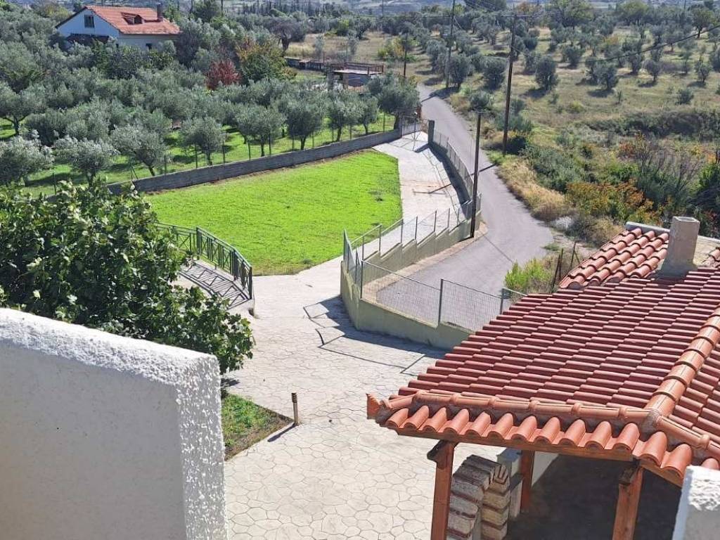 TMEMA TOY AGROTEMACHIOY