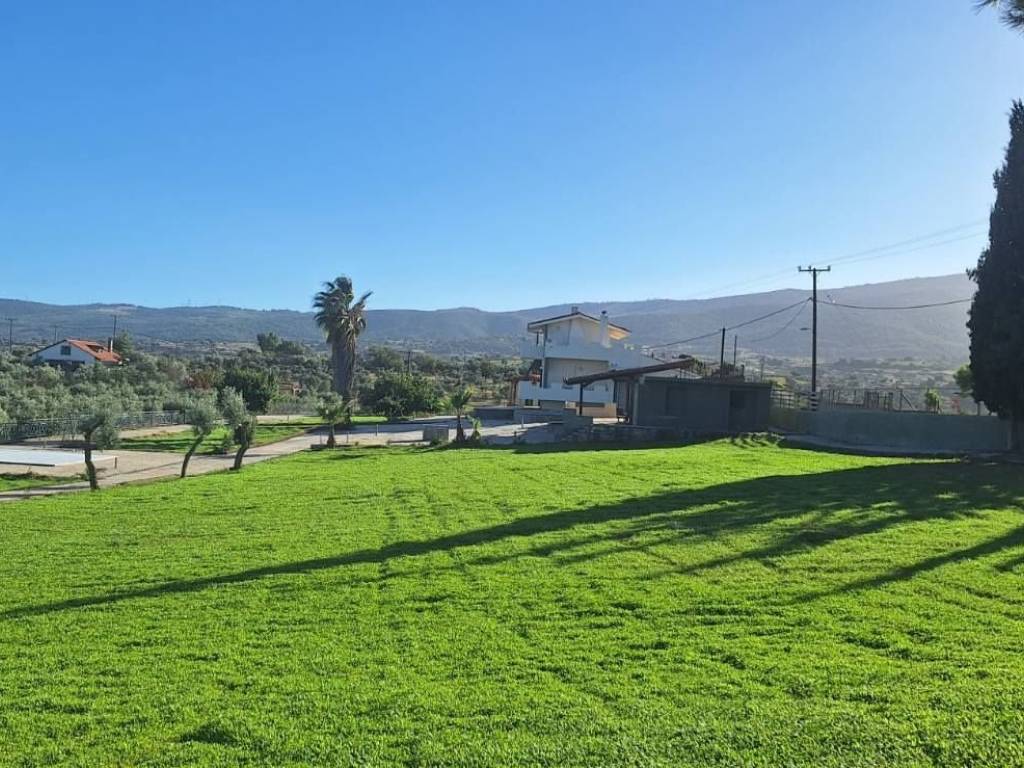 TMEMA TOY AGROTEMACHIOY