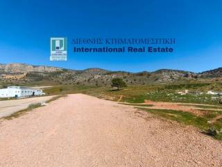 PROSOPSE 71 m. SE DROMO PLATOYS 12 m.