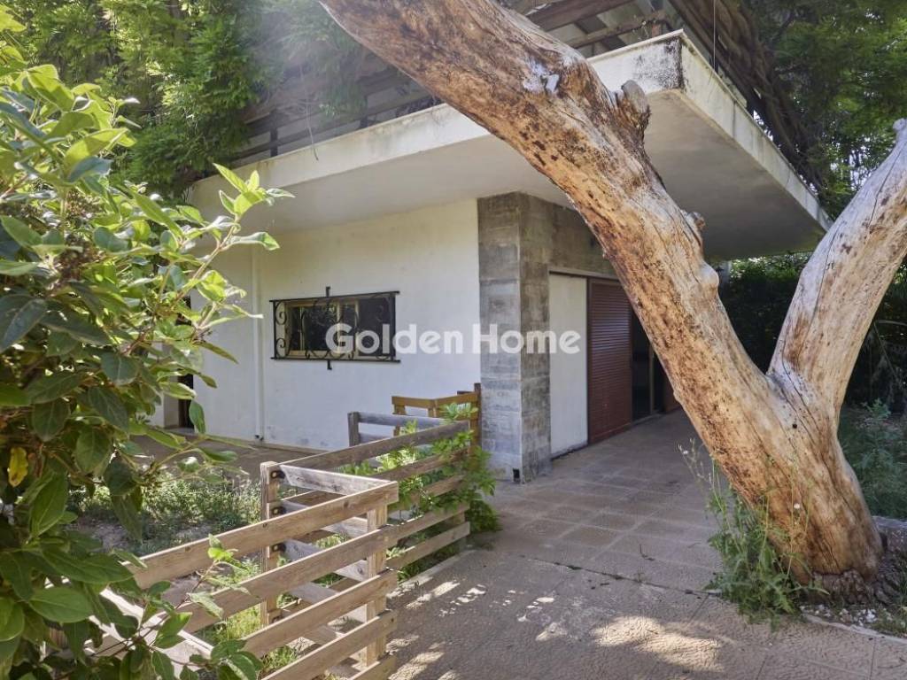 Εξωτερικός Χώρος