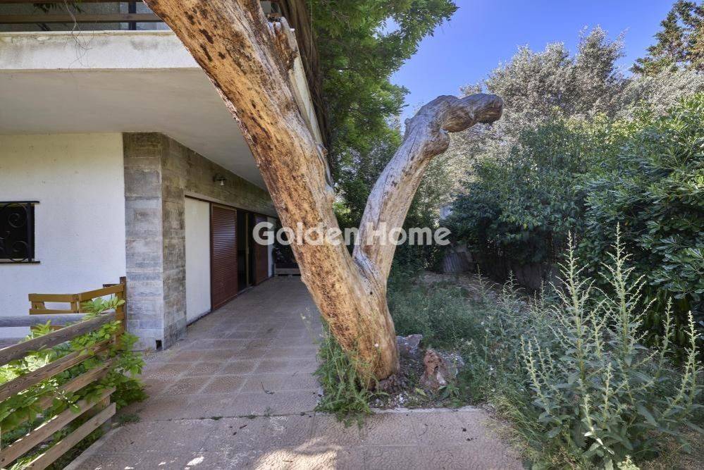 Εξωτερικός Χώρος