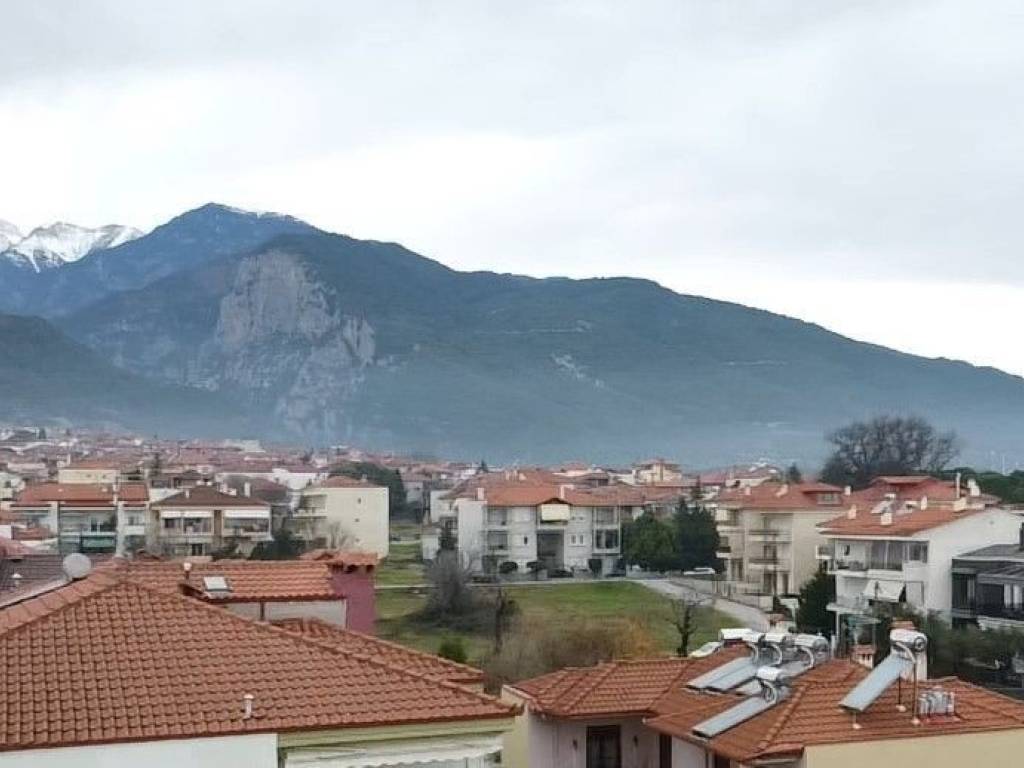 ΘΕΑ ΠΡΟΣ ΤΟΝ ΟΛΥΜΠΟ