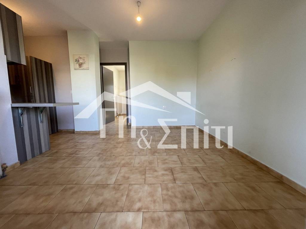 Σαλοκουζίνα