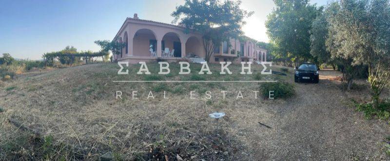 Εξωτερικός χώρος