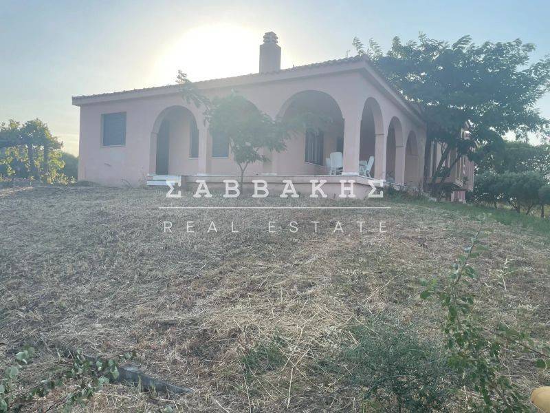 Εξωτερικός χώρος