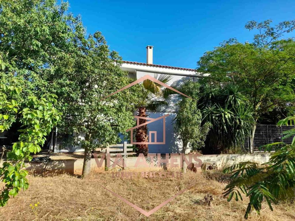 το οικόπεδο υπάρχουν οπωροφόρα δενδρα, δενδρα σκίασης και εξωτερική βρύση .