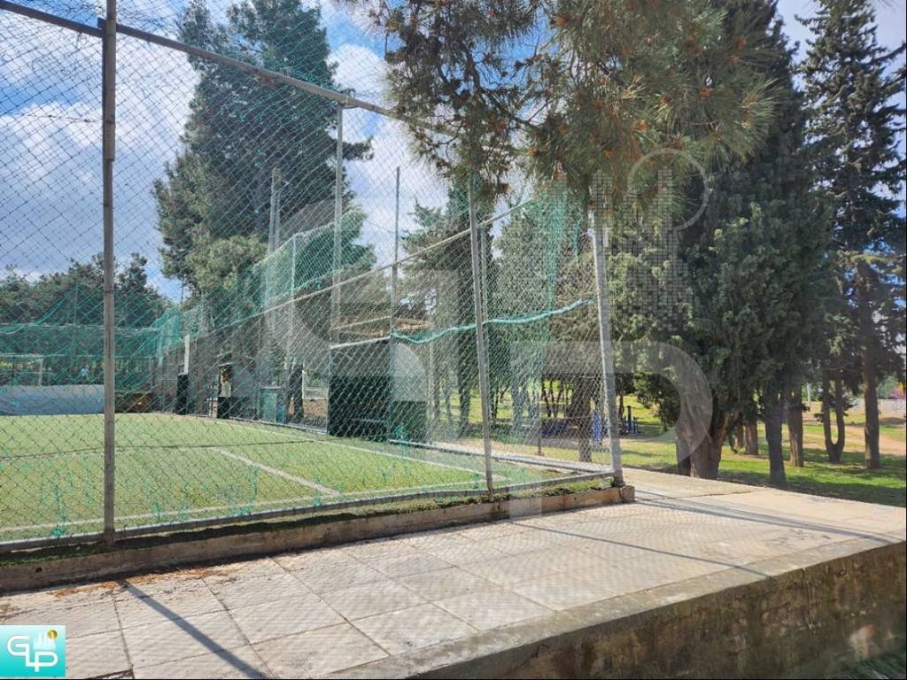 Αλσος Σκοπευτηρίου-άποψη