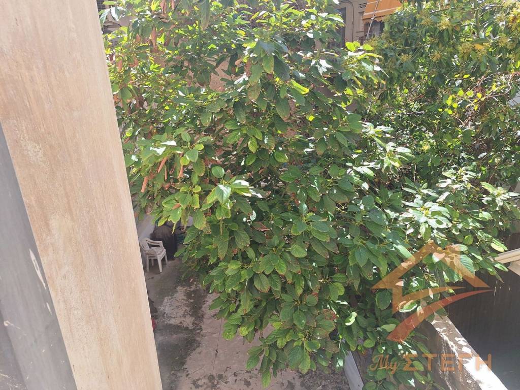 Εξωτερικοι χώροι